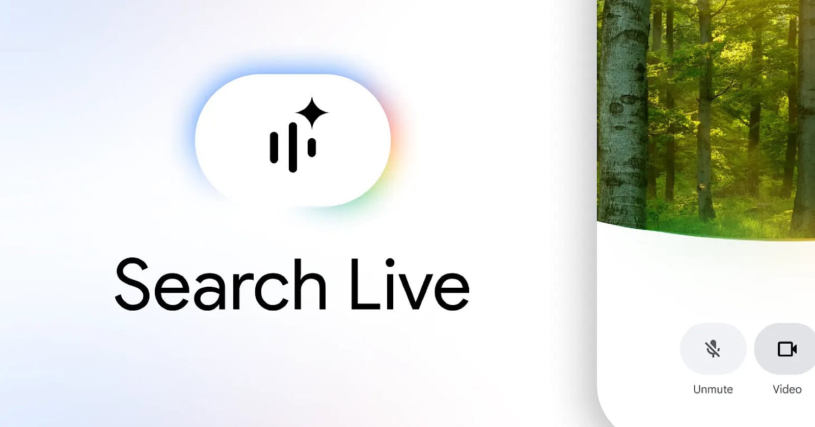 Search Live 全球扩展